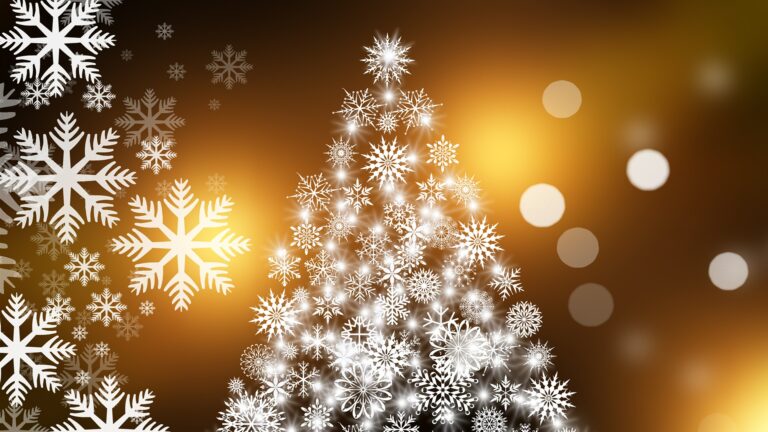 Photo of a Christmas tree card